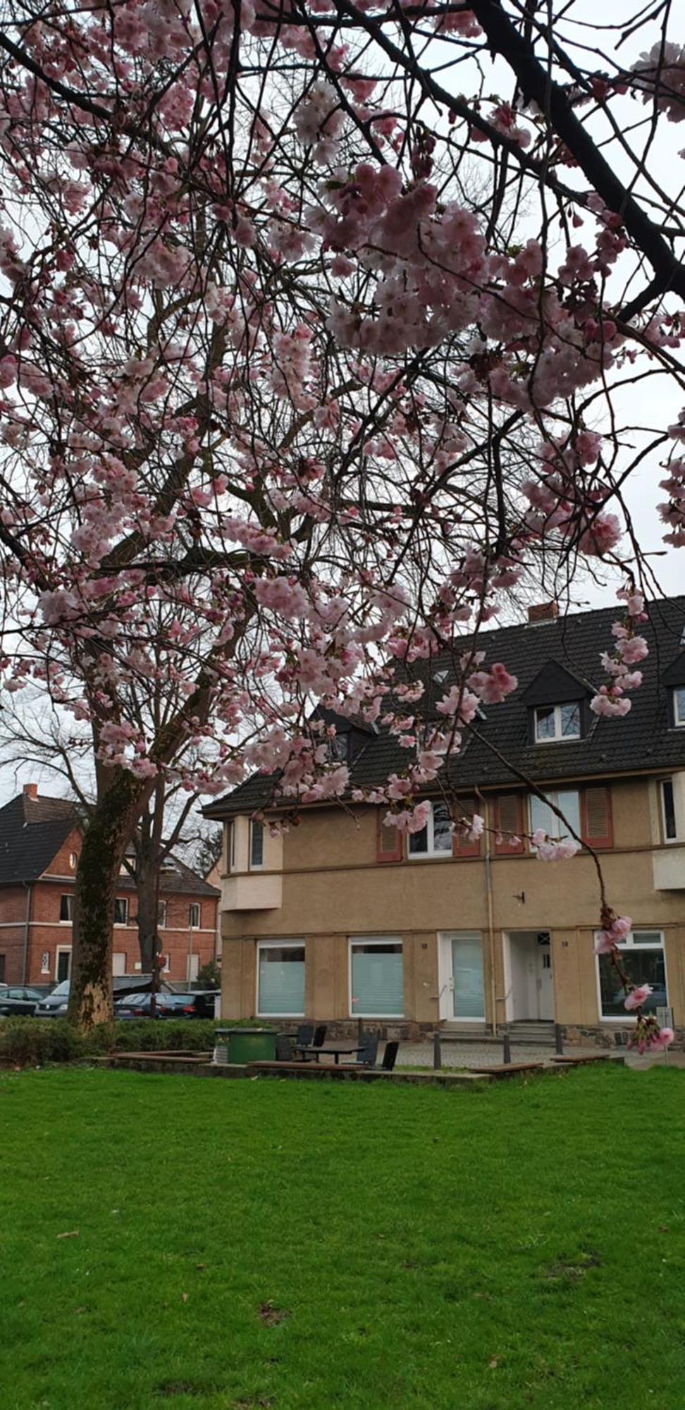 Apartment Wedau Duisburg Exterior photo